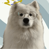 97306e70-e240-4484-a64f-5891a017207c-profile_image-70x70.png